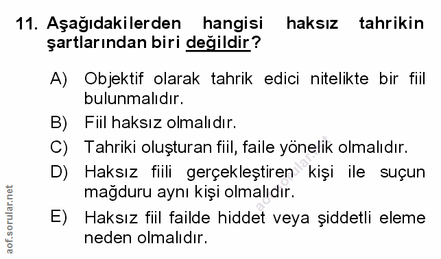 Soru 11