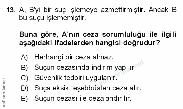 Soru 13