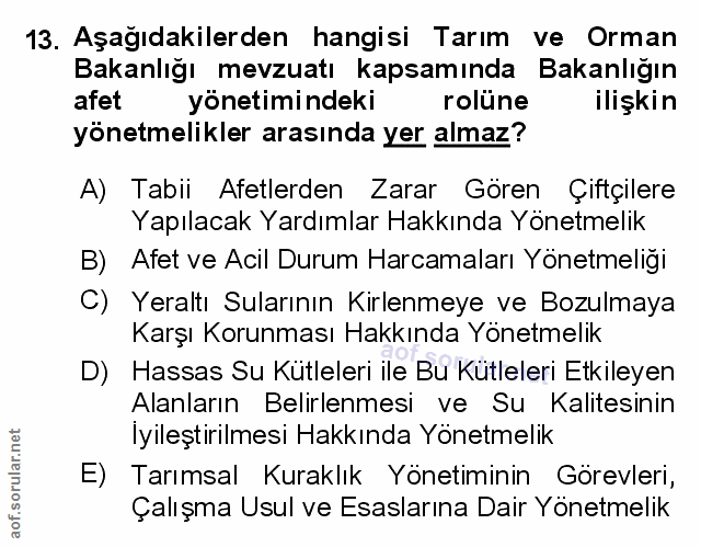 Soru 13