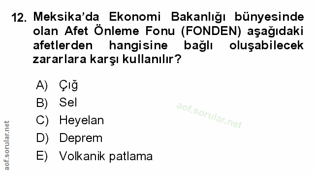 Soru 12
