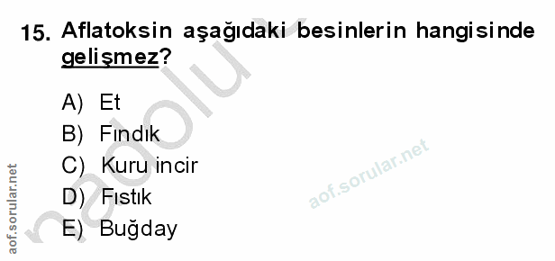 Soru 15