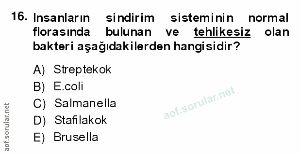 Soru 16