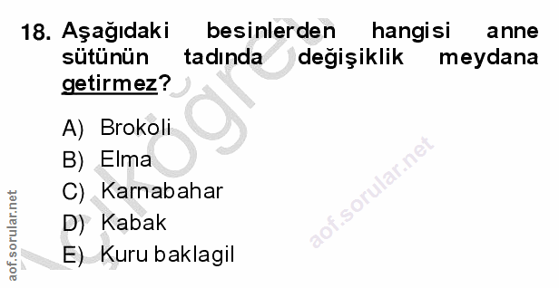 Soru 18