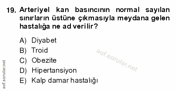 Soru 19