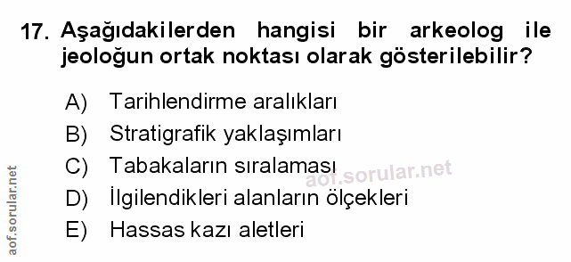 Soru 17