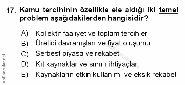 Soru 17