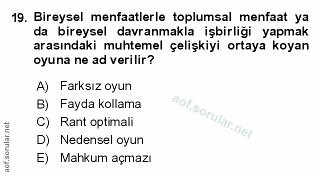 Soru 19