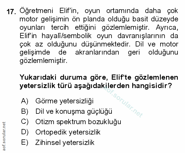 Soru 17