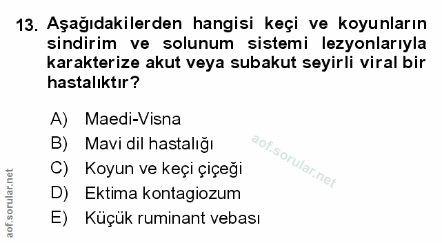 Soru 13