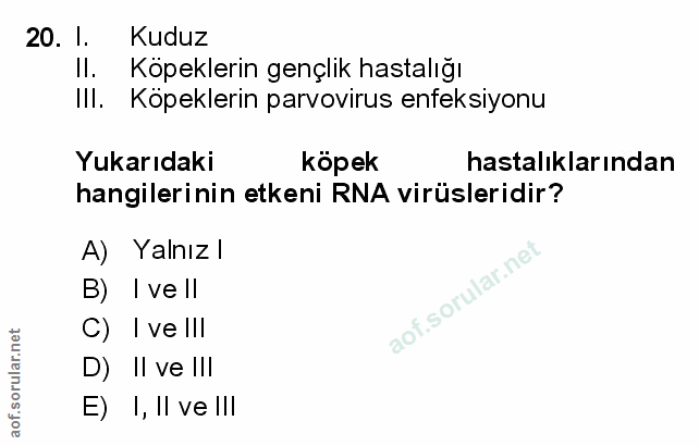 Soru 20