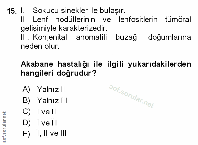 Soru 15