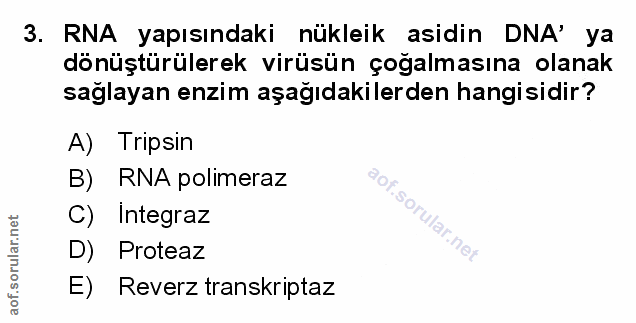 Soru 3