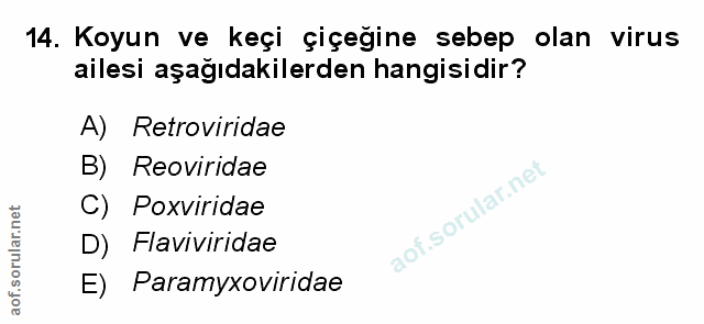 Soru 14