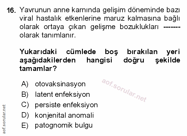 Soru 16