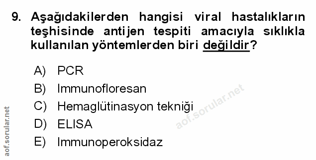 Soru 9