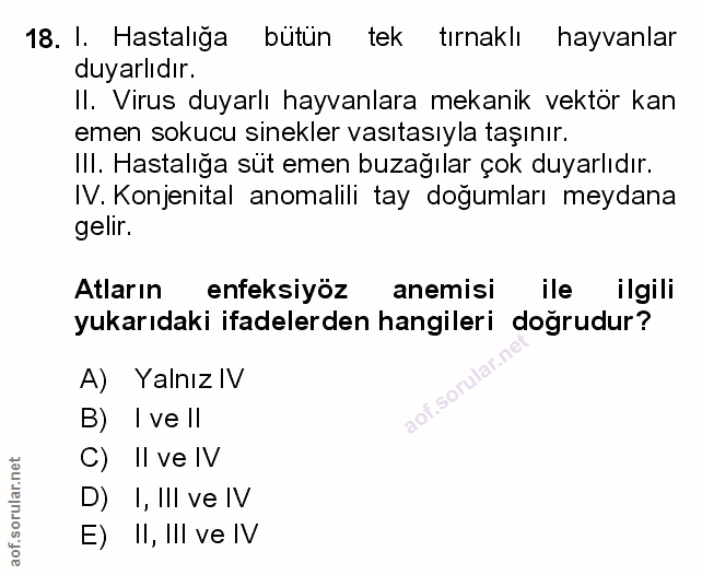 Soru 18