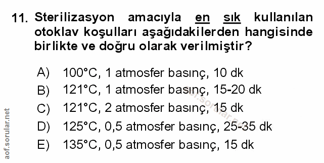 Soru 11