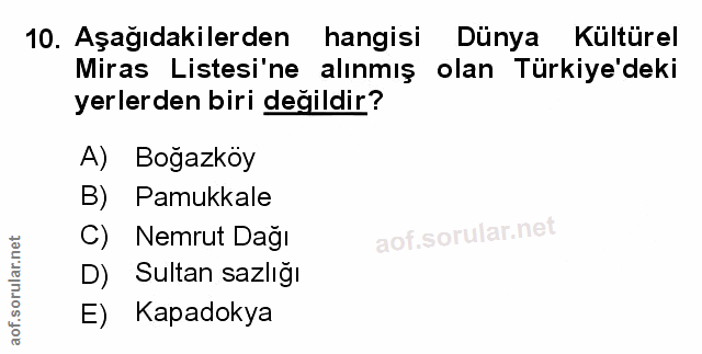 Soru 10