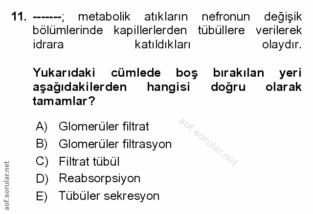 Soru 11