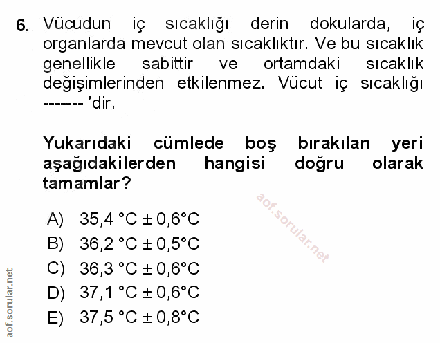 Soru 6