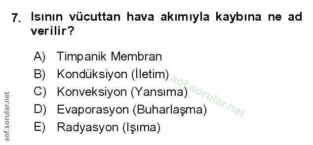 Soru 7