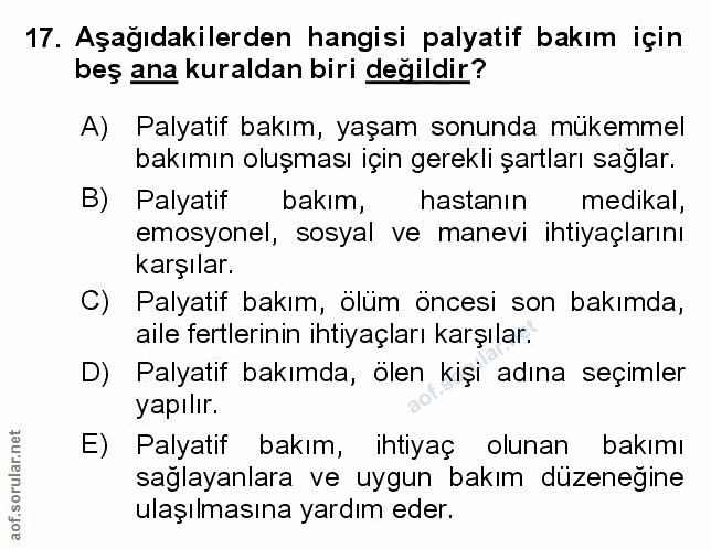 Soru 17