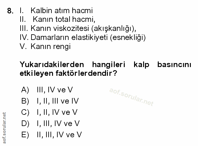 Soru 8