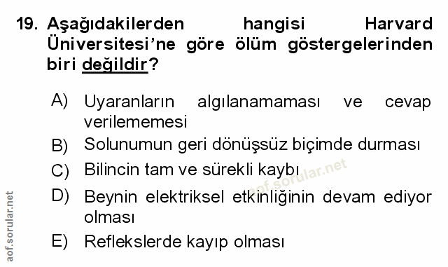 Soru 19