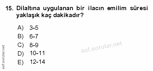 Soru 15