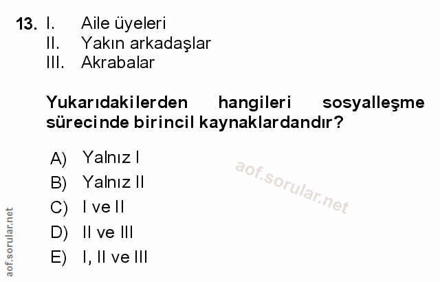 Soru 13