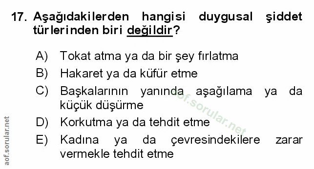 Soru 17