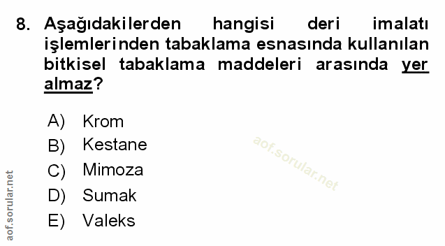 Soru 8