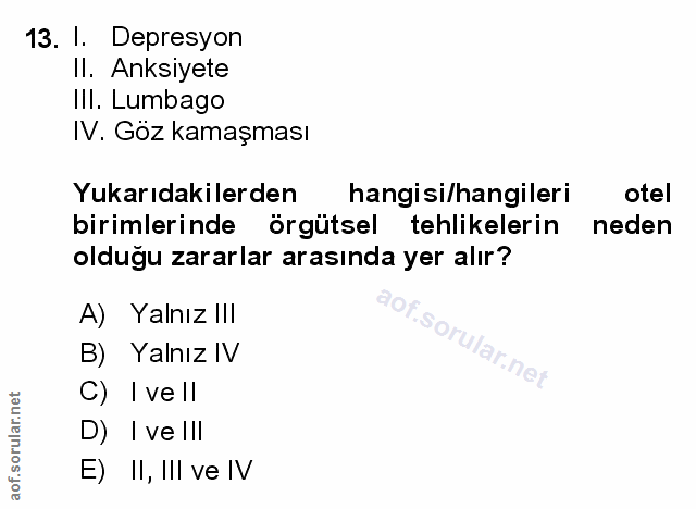 Soru 13