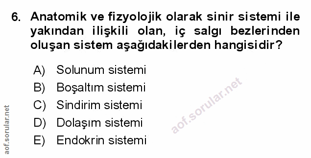 Soru 6