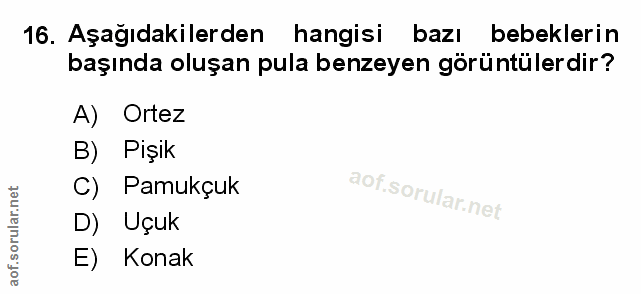 Soru 16