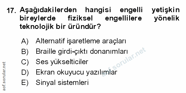 Soru 17