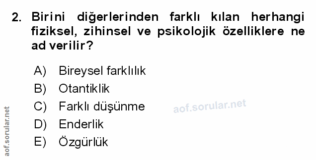 Soru 2