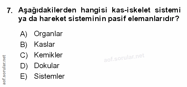 Soru 7