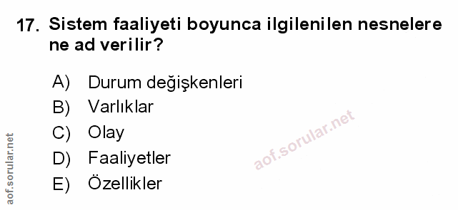 Soru 17