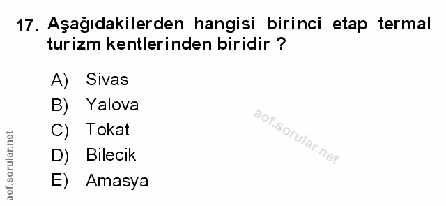 Soru 17