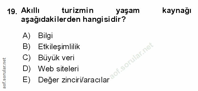 Soru 19