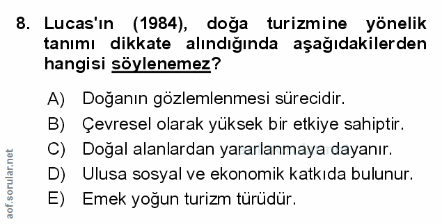 Soru 8