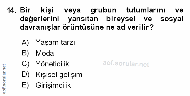 Soru 14