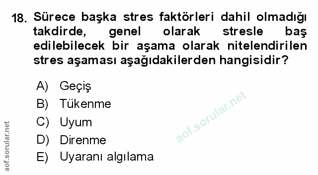 Soru 18
