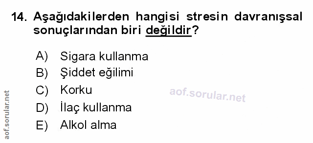 Soru 14