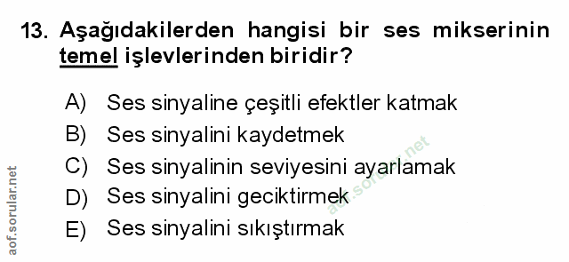 Soru 13