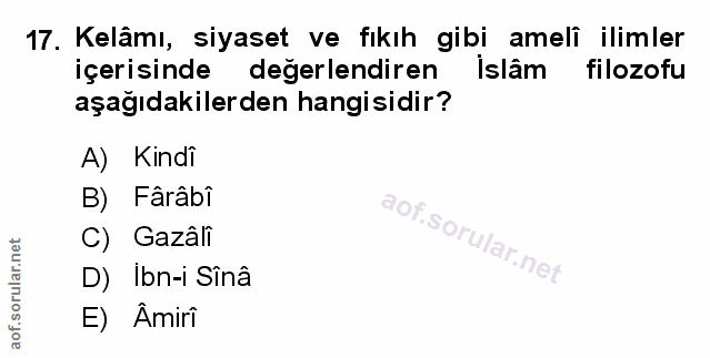 Soru 17