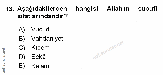 Soru 13