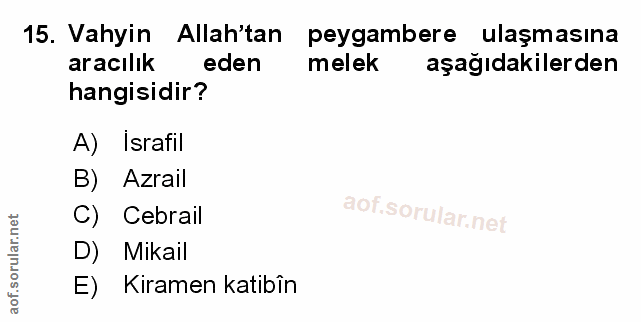 Soru 15