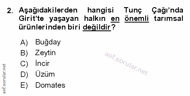 Soru 2
